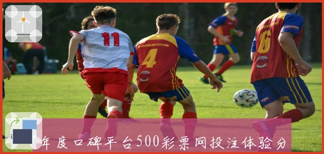年度口碑平台500彩票网投注体验分享:新手指南与功能亮点详解