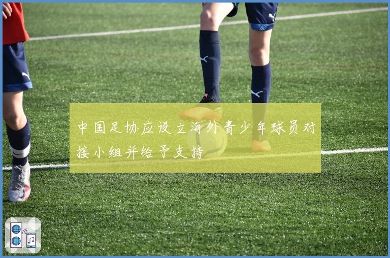 中国足协应设立海外青少年球员对接小组并给予支持