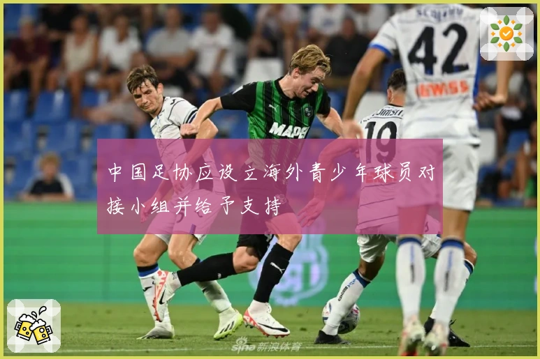 中国足协应设立海外青少年球员对接小组并给予支持