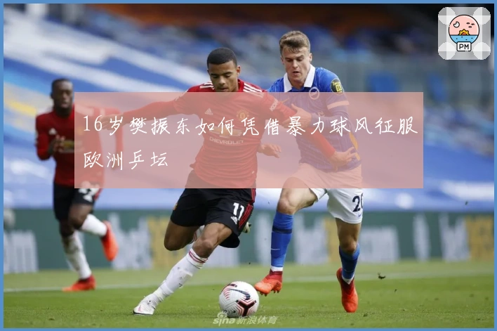 16岁樊振东如何凭借暴力球风征服欧洲乒坛