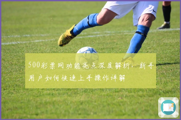 500彩票网功能亮点深度解析，新手用户如何快速上手操作详解